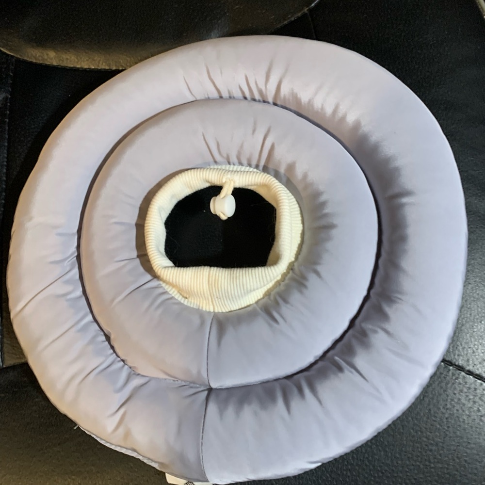 Gray Dog/Cat Recovery Collar
